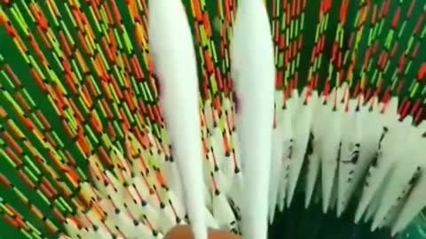 This is a beautiful and charming water-dwelling species