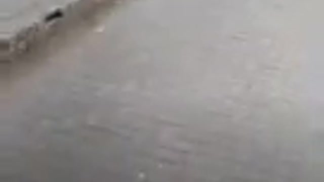 Little bird happy with in girl
