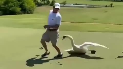The end 😂🤣😂🤣#TRY NOT TO LAUGH#FUNNY#VIRAL