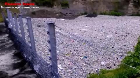 ŠEST MILIARD JEDLÍKU