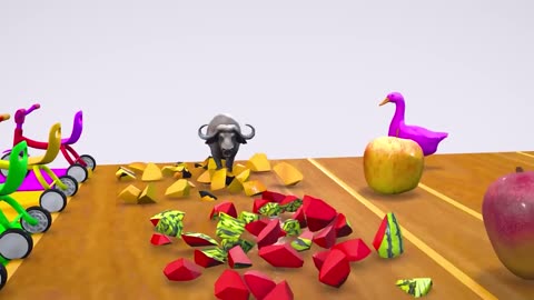 Animal chatoon video