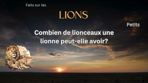 Fait sur le Lion 9 - Combien de lionceaux une lionne peut-elle avoir?