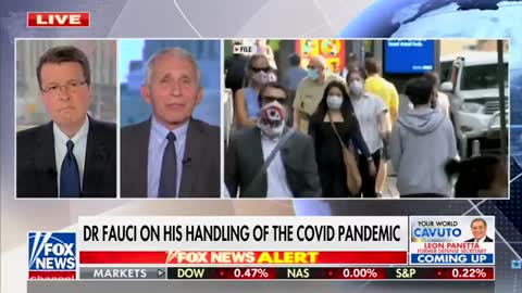 Fauci: "I didn't shut anything down..."