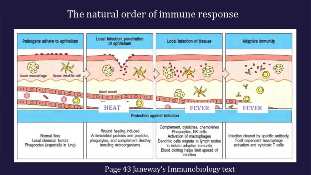 Unsettled Science and Herd Immunity