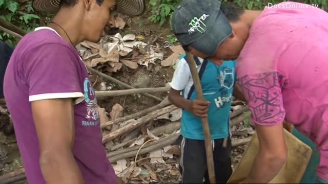 Cocaine production in Perù DOCUMENTARIO la regione più povera del Perù, la Valle de los Ríos Apurímac, Ene y Mantaro(VRAEM) è ingovernabile e il traffico di droga prospera