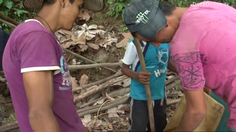 Cocaine production in Perù DOCUMENTARIO la regione più povera del Perù, la Valle de los Ríos Apurímac, Ene y Mantaro(VRAEM) è ingovernabile e il traffico di droga prospera