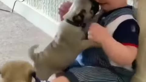 funny baby with cute dog