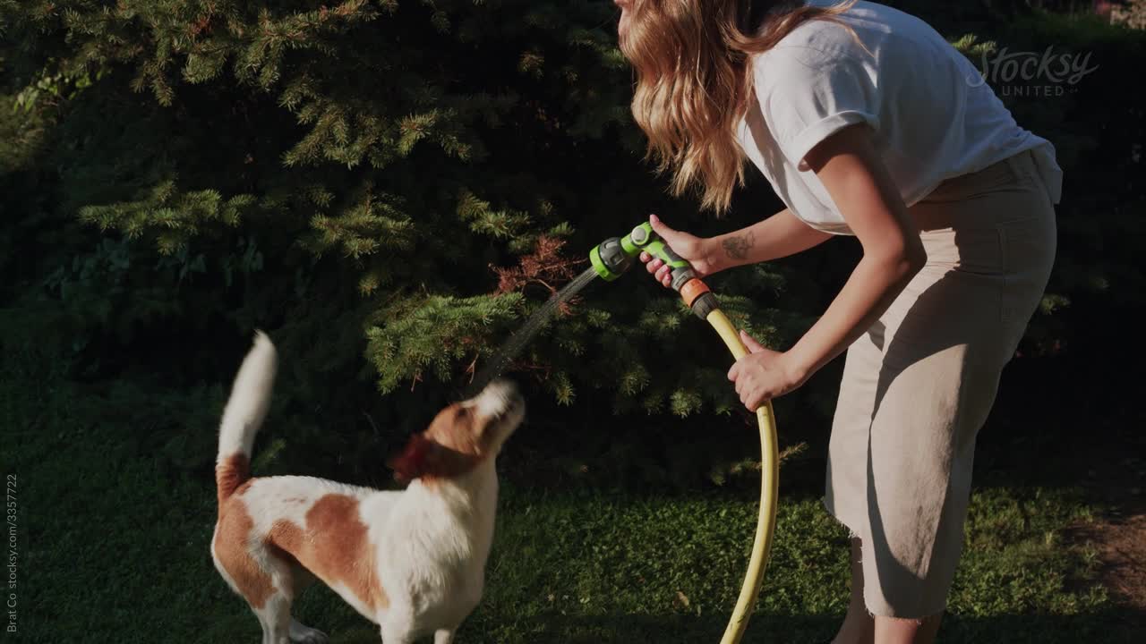 Woman water sprinkling in the backyard and having fun with her dog.