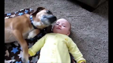 Unconditional love between a cute dog and a child