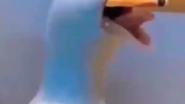 🤣🤣🤣🤣🤣🤣😃😃😃