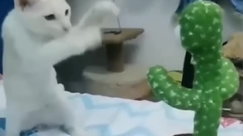Animals funny🤣 movements #funnyanimals