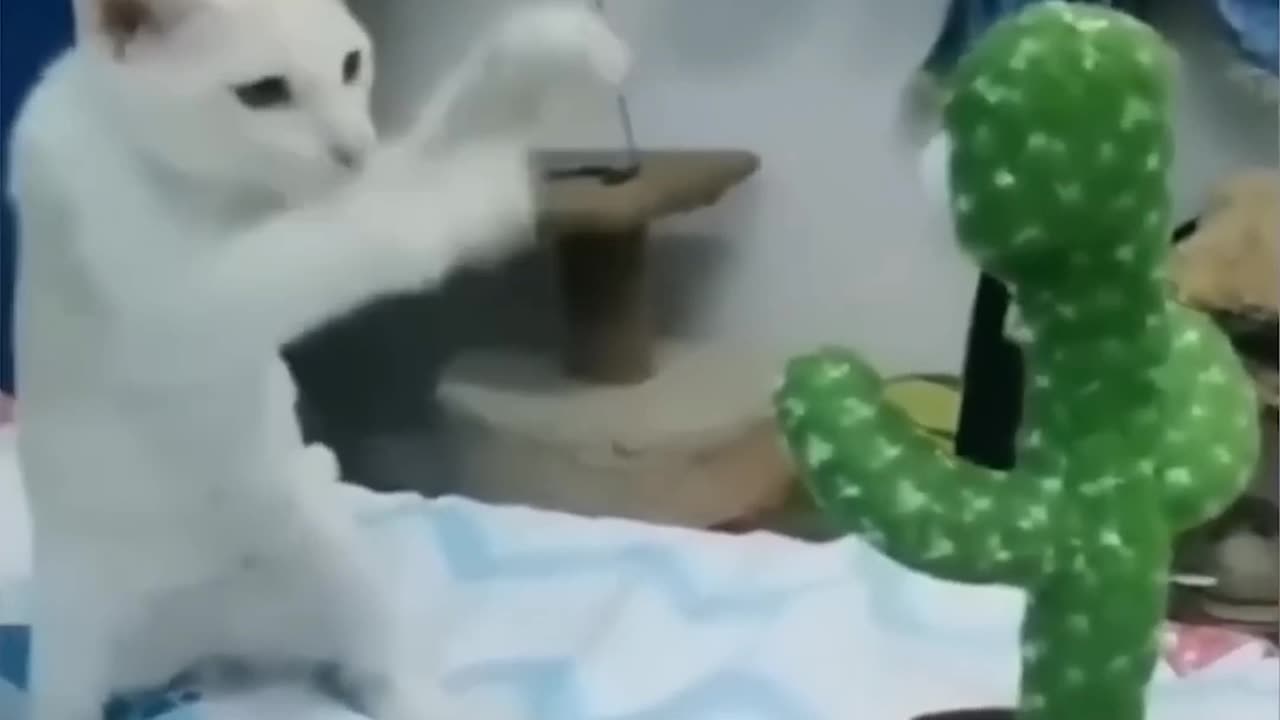 Animals funny🤣 movements #funnyanimals