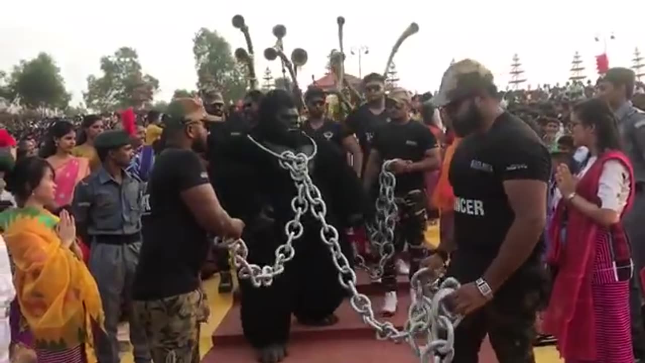 King kong(gorilla) show at alvas virasath 2018.