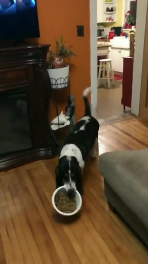 I'm here, turn on the TV