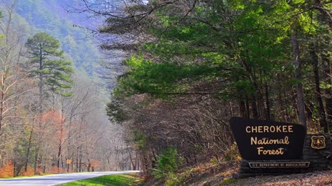 THE CHEROKEE NATIONAL FOREST ISN'T SAFE