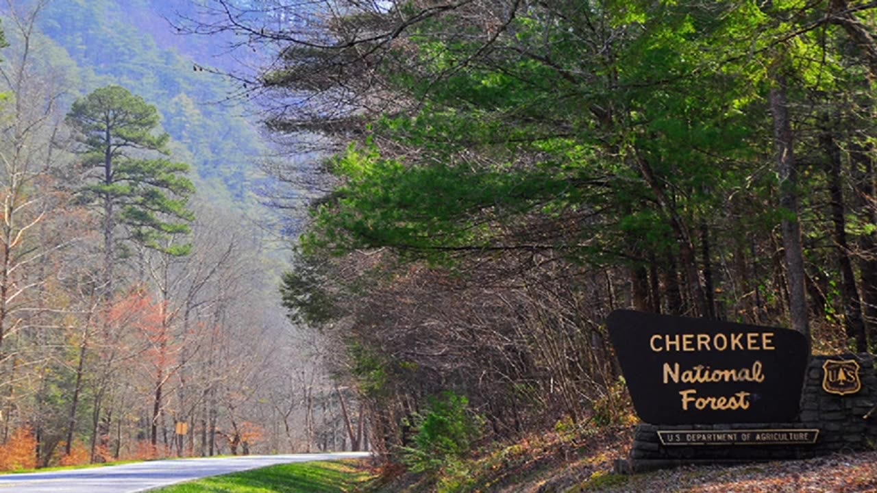 THE CHEROKEE NATIONAL FOREST ISN'T SAFE