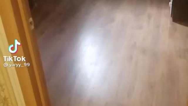Russian man and Tiger