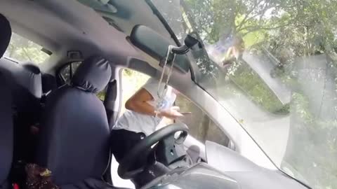 Injured eagle flues into blogger's car Manila