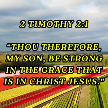 Thou therefore, my son, be strong in the grace that is in Christ Jesus