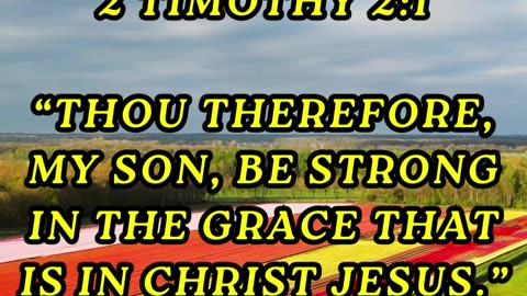 Thou therefore, my son, be strong in the grace that is in Christ Jesus
