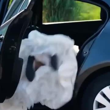 These Hacks Saved Her Wedding 😎👌 #howto #funny #5minutecrafts #diy #hack #grwm #weddinghacks