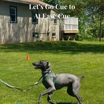 River's 5 PoP At Ease Cue part 2