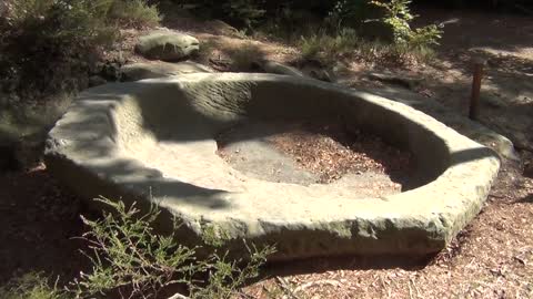 Blood Ritual Satanic Human Sacrifice Octogon Bowl in Huge French Forest by Pharaoh's Nobility