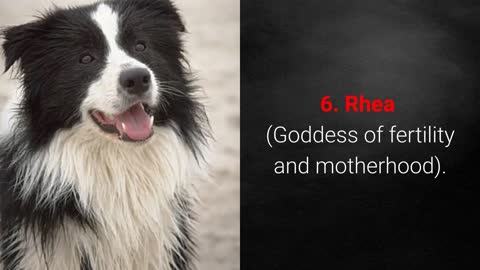 Do you know Ancient Dog Names For Male & Female?