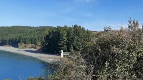 The Rakaia Bridge