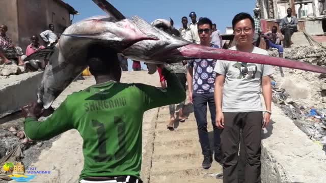 SOMALIA TRAVEL & TOURISM GUIDE | MOGADISHU'S TOP DESTINATIONS (Aerial View) ATTRACTED INT TRAVELERS.