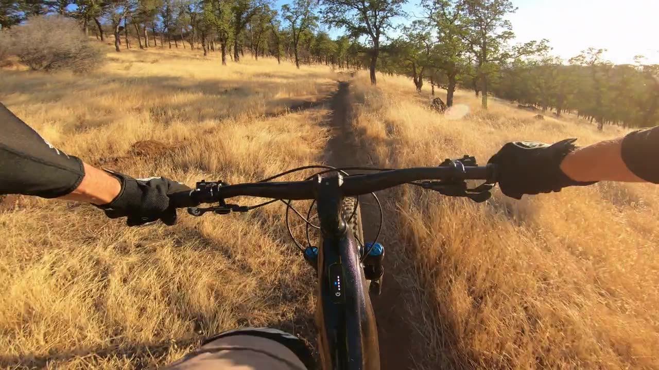 Secret Trail Jump Line and Downhill Rip - EBike