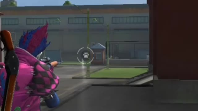 Gems video