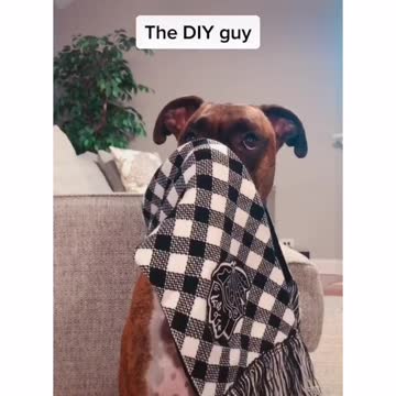 Which one are you? Write in the comments 😁