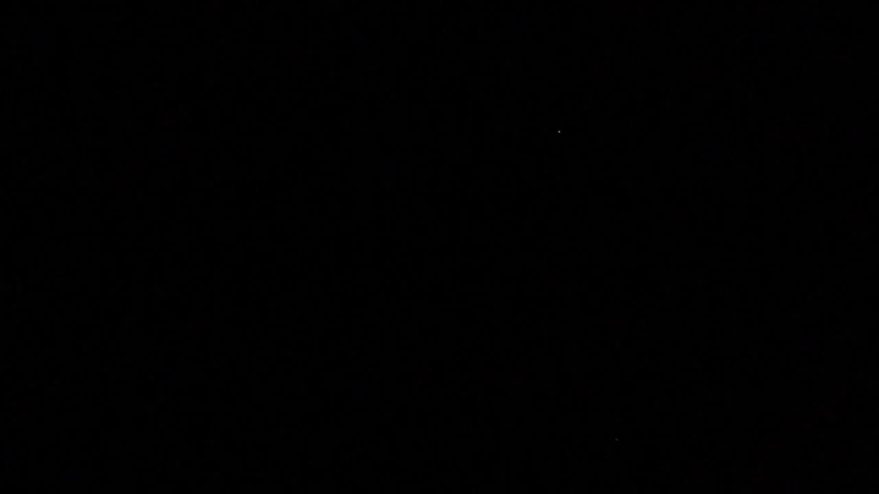 Giant Lady Mart v. The Nelsons