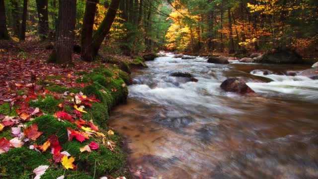 NATURE SOUNDS Relaxing Nature Sound Of Babbling Brook (No Music)