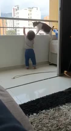 Do you think the cat was saving the child?