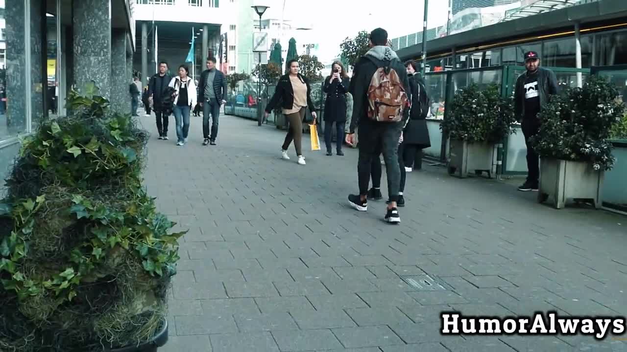 Best Bushman | Rotterdam !!