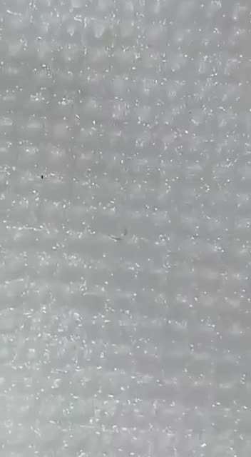 Don’t ever wear masks