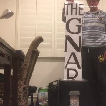 Shredding the gnar home office paper shredder