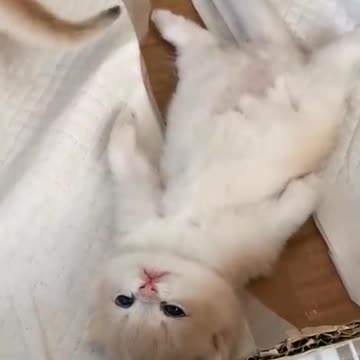 I don't want to do anything, I don't have any strength left