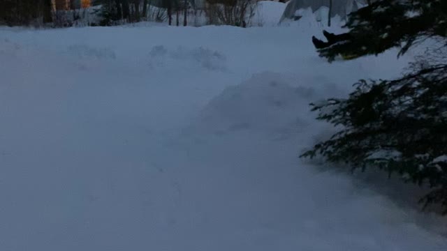 Snow Slide Stretches Across Multiple Backyards