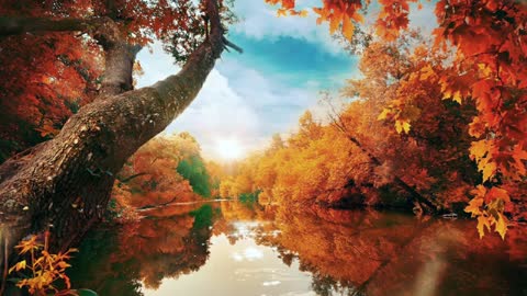 أروع المناظر الطبيعية الخلابة في العالم The coolest scenic in the world with calm music