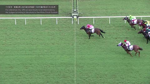 Horse_Race_2022060507_Chinese