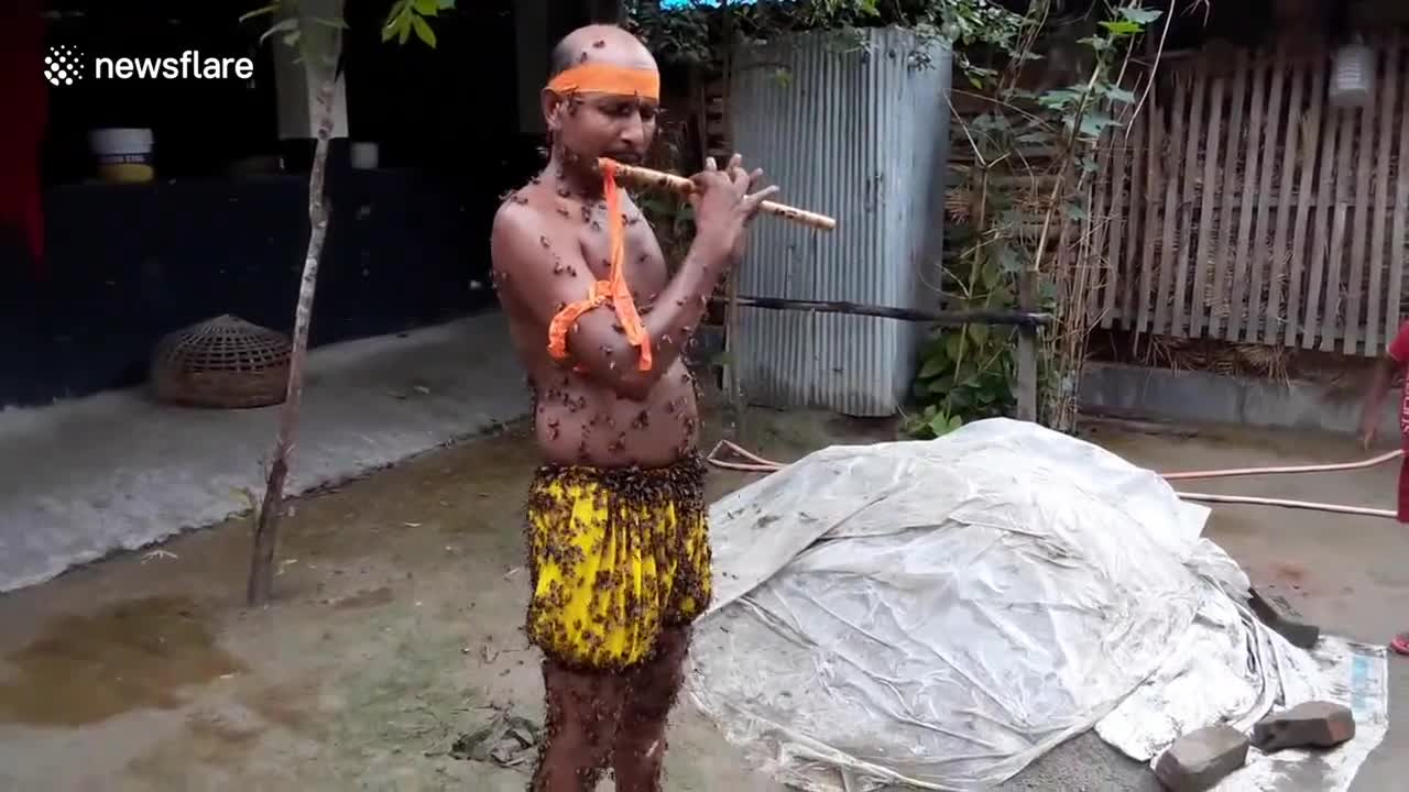 Hundreds of bees swarm Bangladeshi man's body as he plays flute