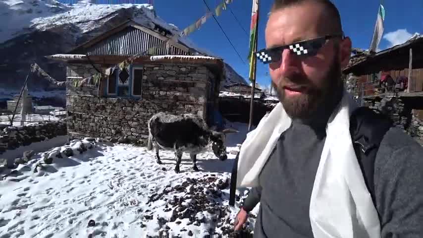 Tibetan Village Himalaya 🇳🇵