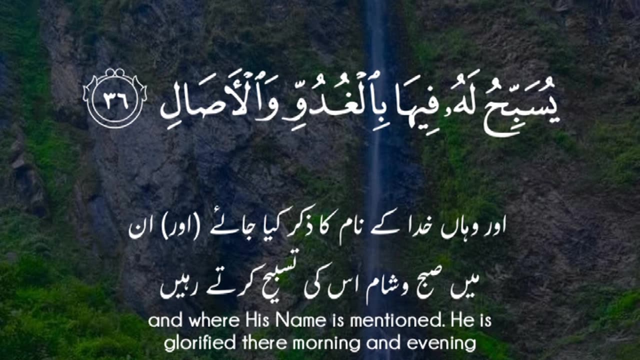 Surah Al Noor II By Hafiz Fida Hashmi With Arabic Text (HD) #viral #shortvideo #youtubeshorts