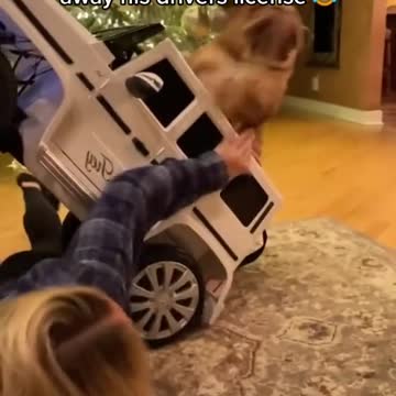 Someone needs to take away his license! 😂