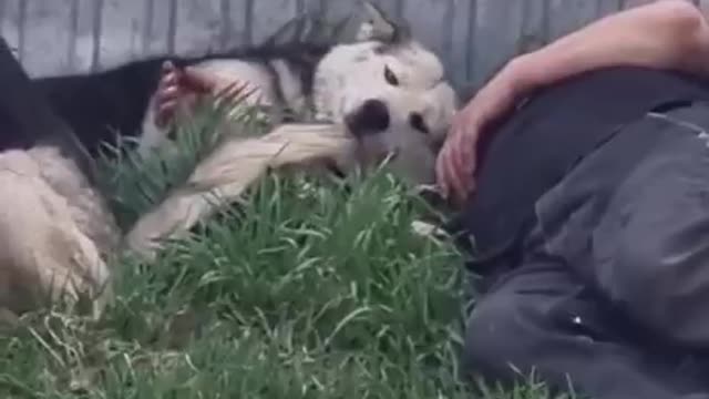 Самое милое что я сегодня видел