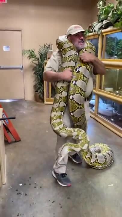 FUNNY AND CUTE ANIMALS 🐍⚕️🐍