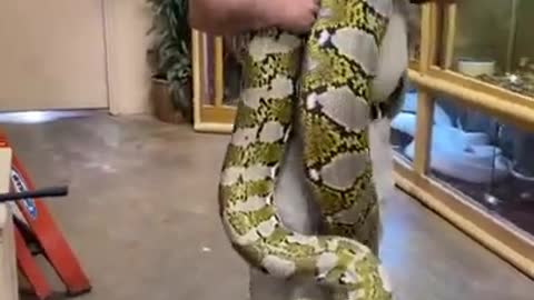 FUNNY AND CUTE ANIMALS 🐍⚕️🐍